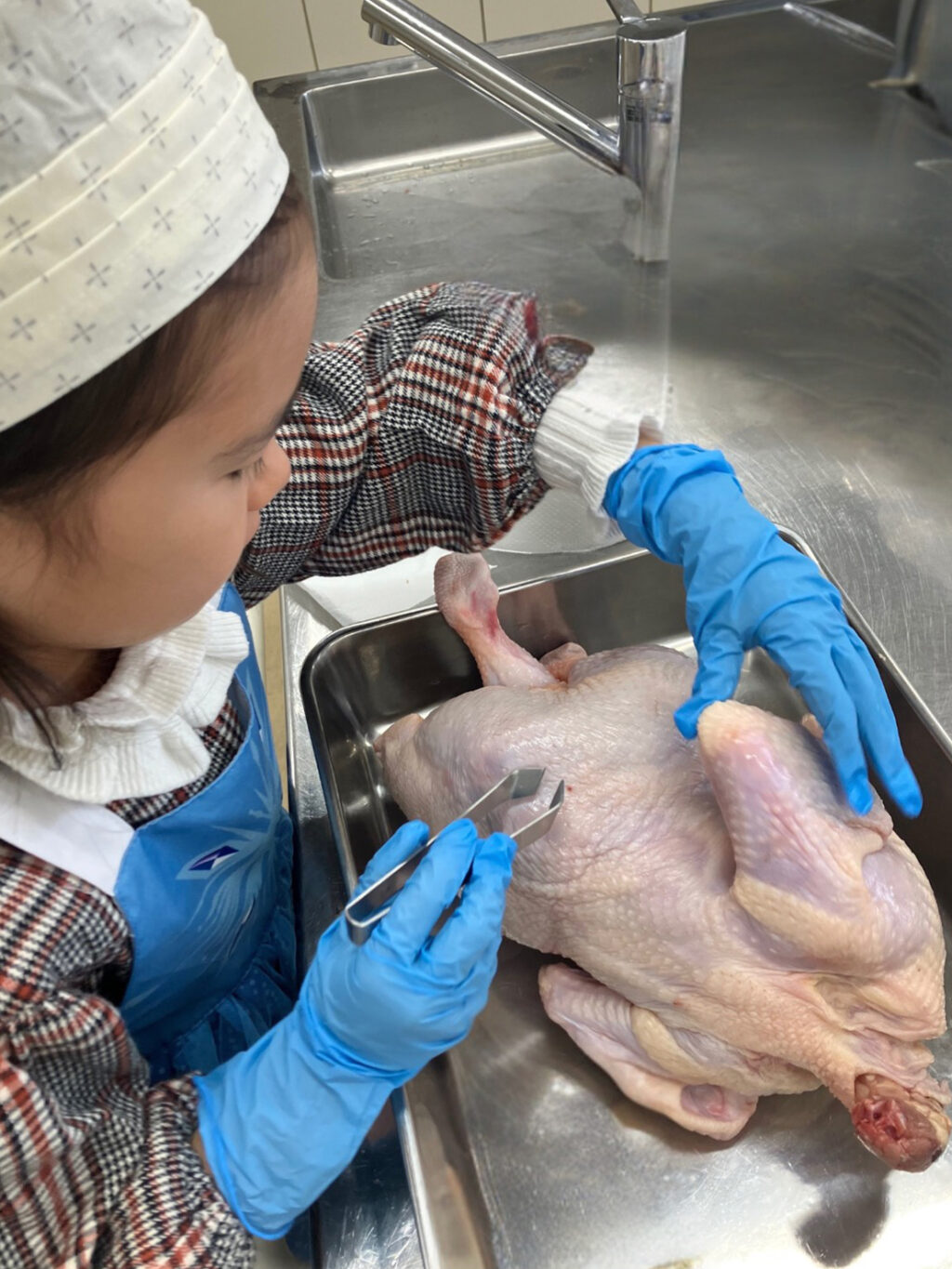 <br />
<b>Warning</b>:  Undefined variable $alt in <b>/home/petipa/petipa2021.com/public_html/wp-content/themes/Petipa/single-lesson.php</b> on line <b>10</b><br />
