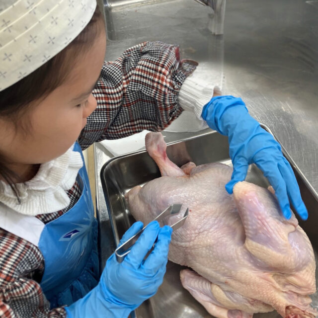 <br />
<b>Warning</b>:  Undefined variable $alt in <b>/home/petipa/petipa2021.com/public_html/wp-content/themes/Petipa/single-lesson.php</b> on line <b>11</b><br />
